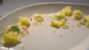 Citronfromage med broken gel, sponge cake og krystaliseret hvid chokolade